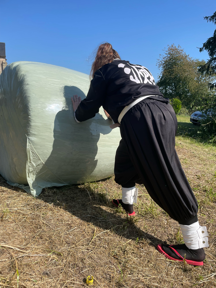 Tanjiro & mitsuri - Photo 4