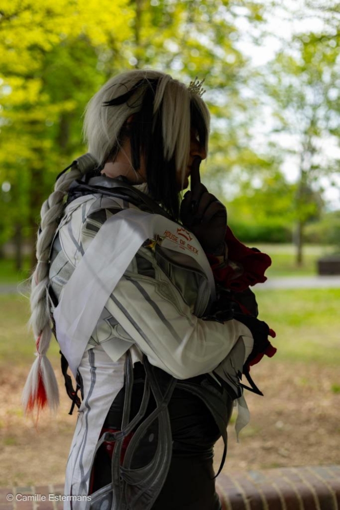Arlecchino — photo 15