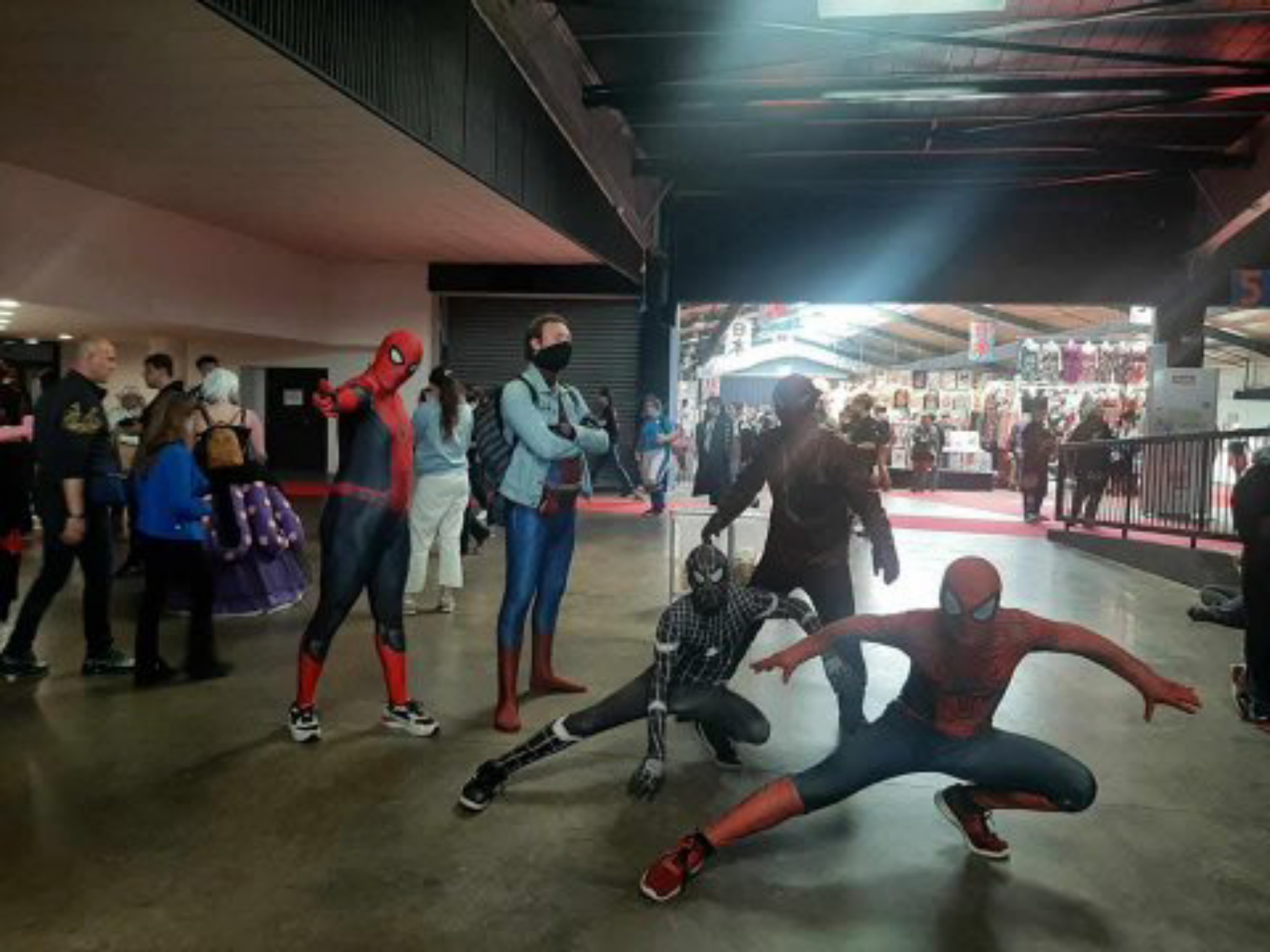 Chibi Rouen 24 dim - Photo 2