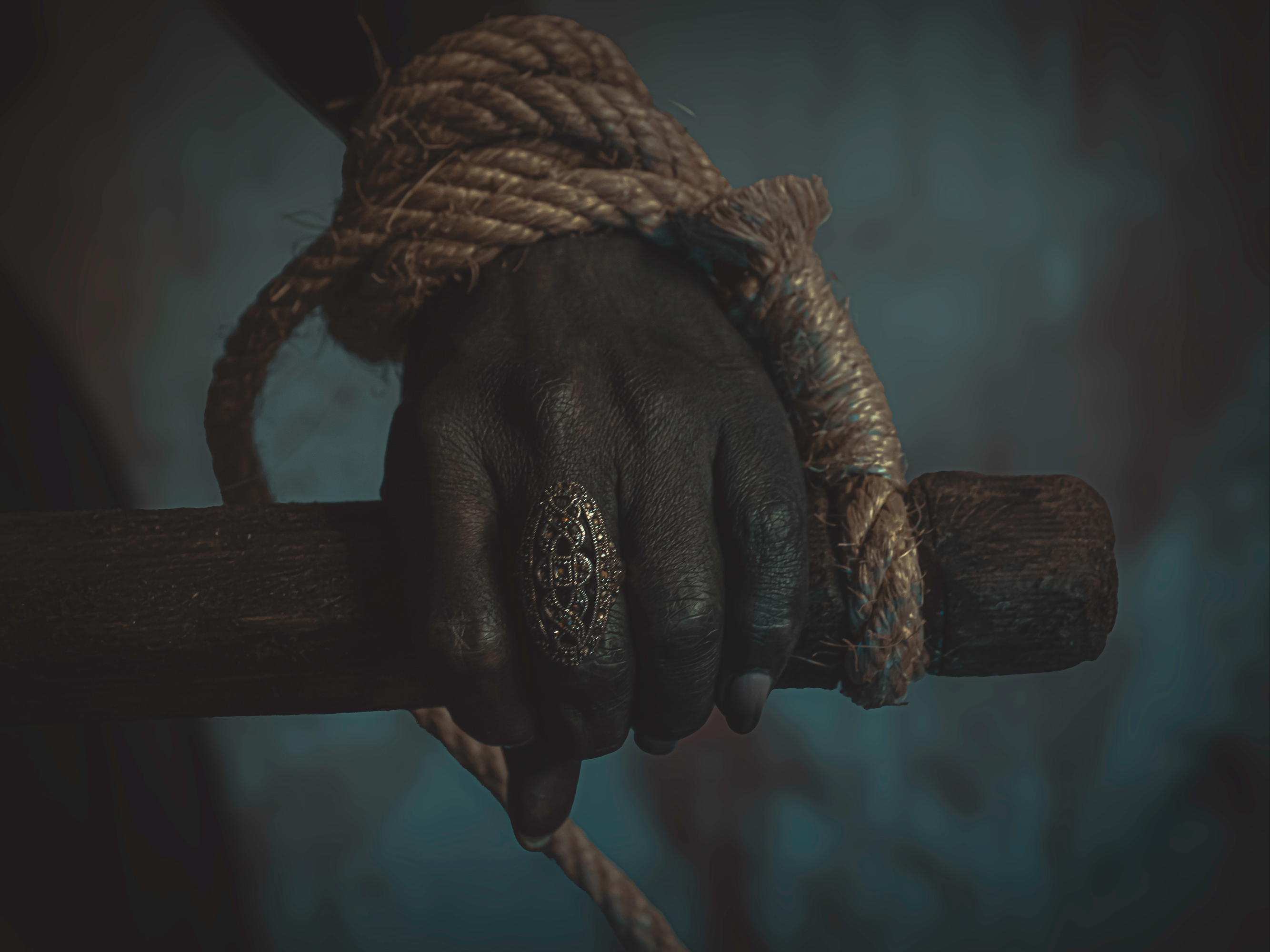 Horror — photo 12