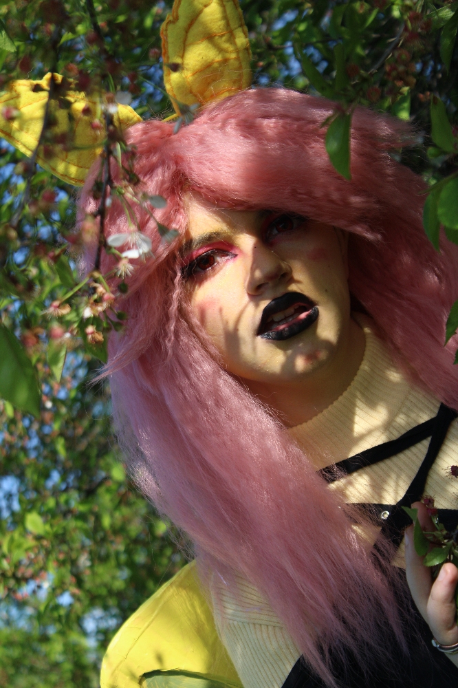 FlutterBat - Photo 1