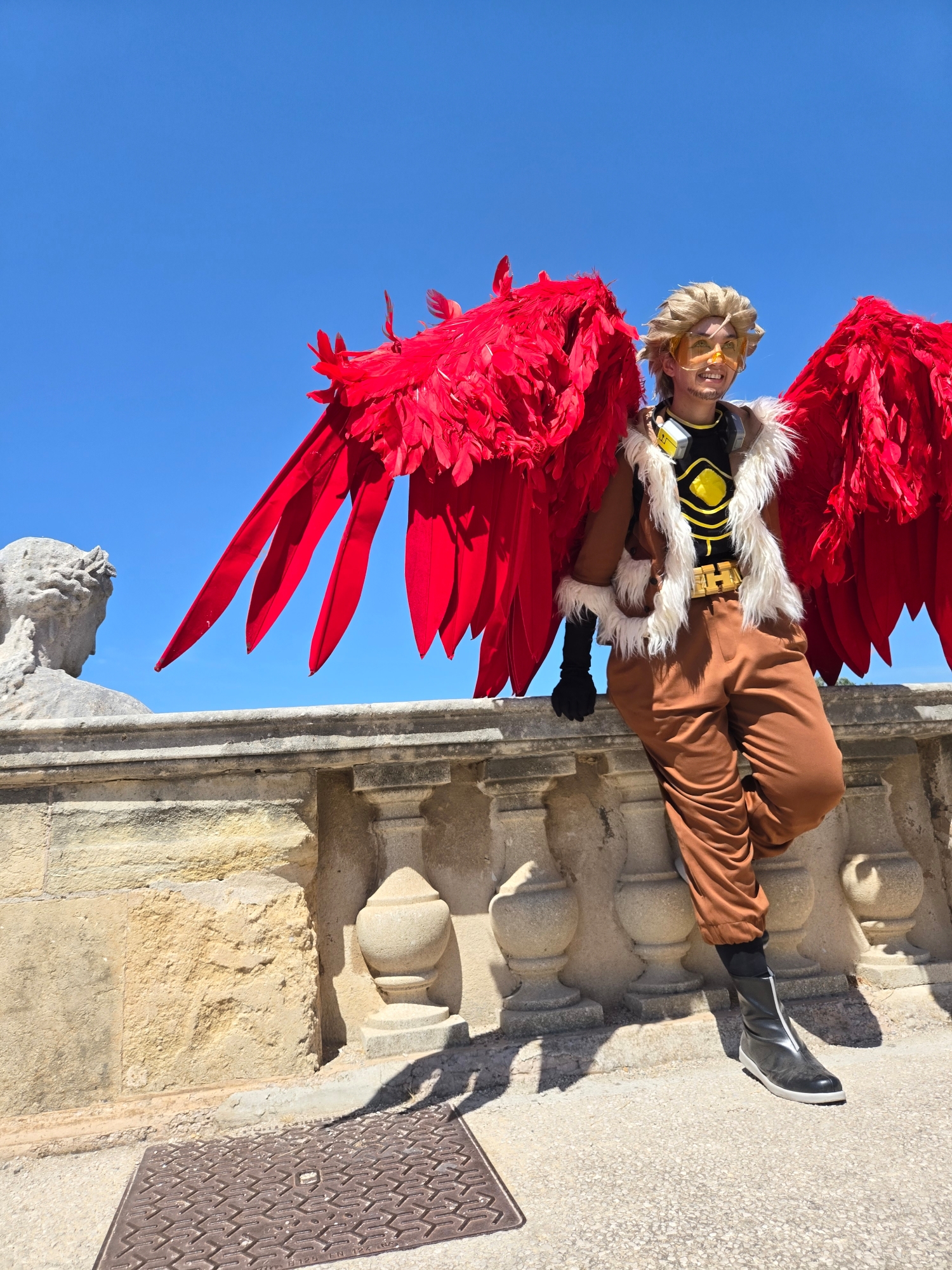 Hawks, photo 430