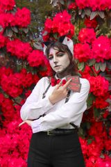 Hanami preview 2
