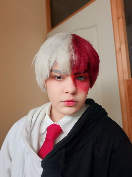 Petit_ornithorynque_ - Shoto Todoroki
