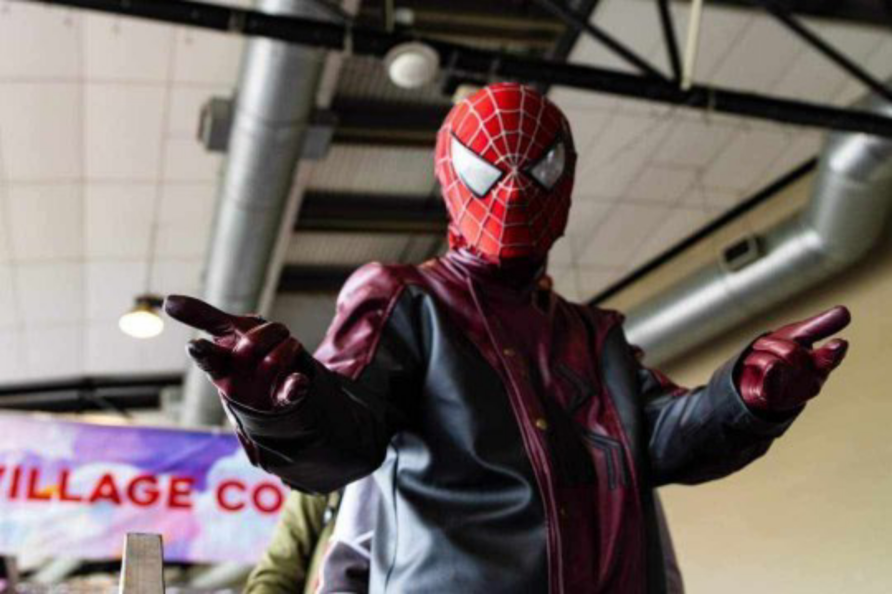 Spiderman Last Stand - Photo 6