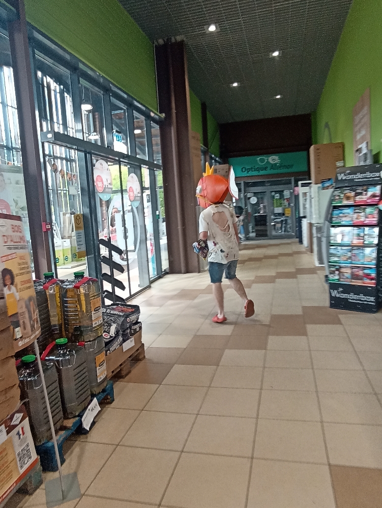 Magicarpe Zombie — photo 11