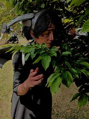 Crokmou-film dragon preview 3