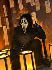 Gost face preview 2