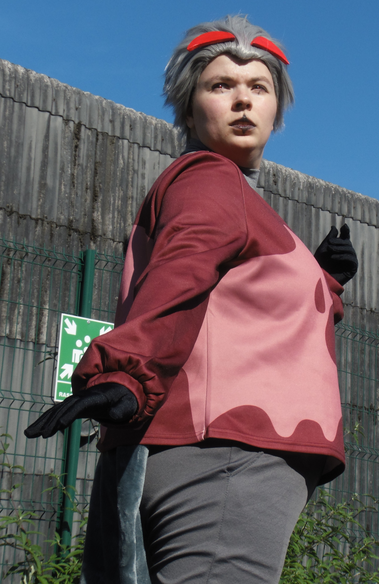 Stolas - Kamoplay - Photo 3