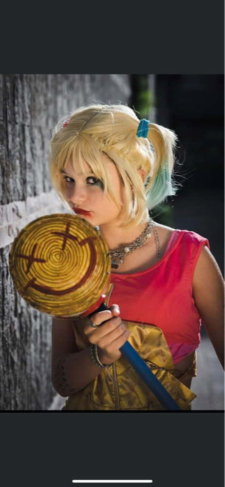 Harley — photo 17