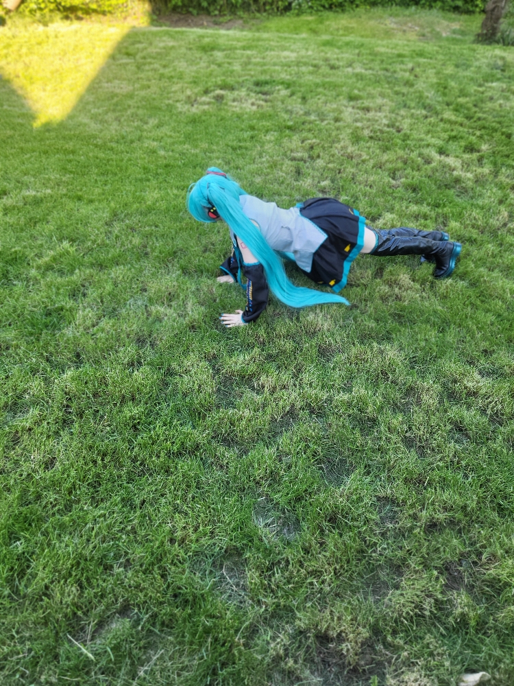 Miku — photo 12