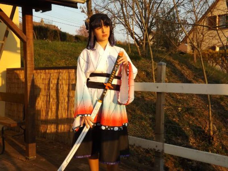 Anel_.cos - Shinobu kocho 