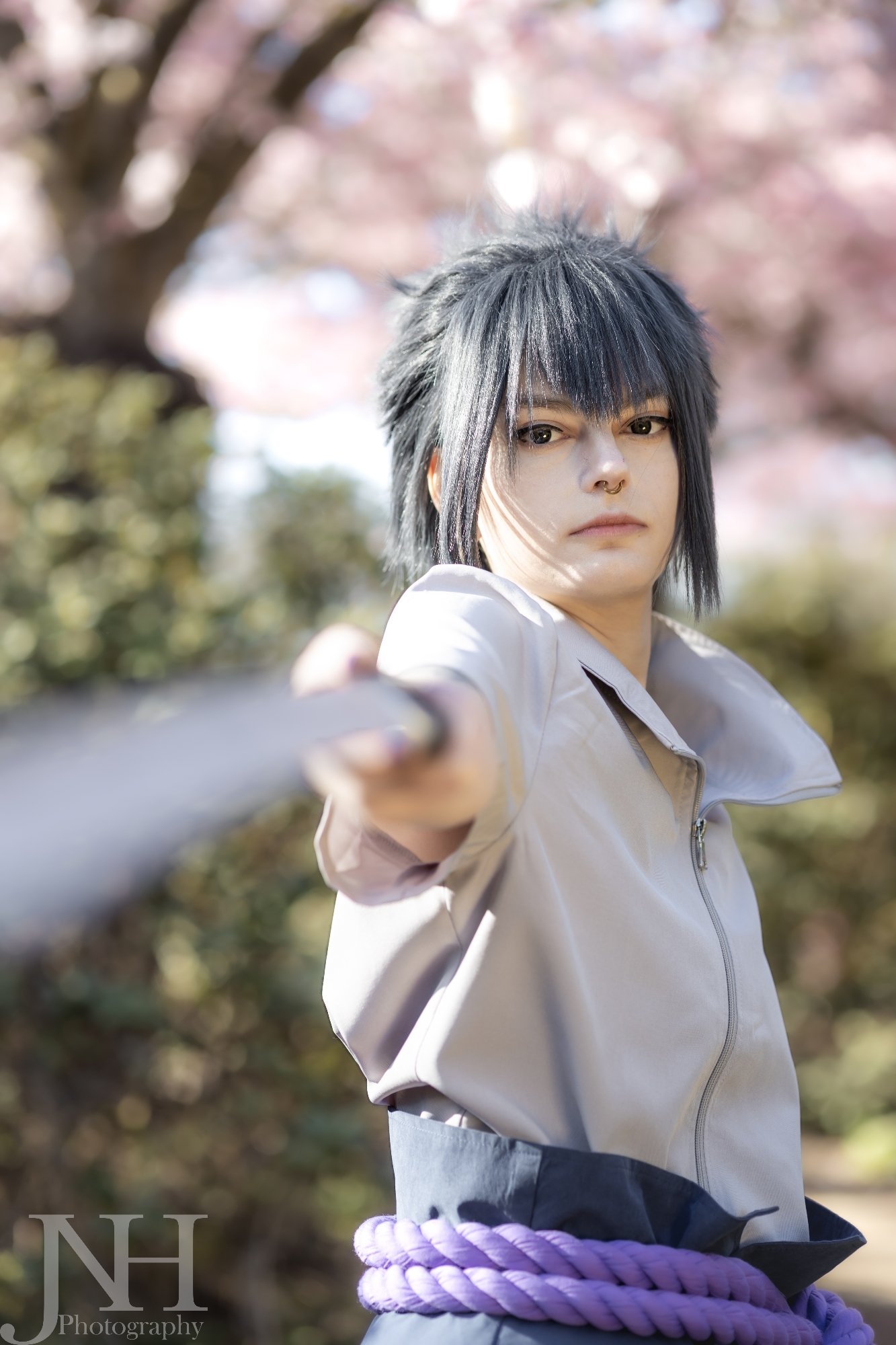 Cherry Blossoms - Photo 1