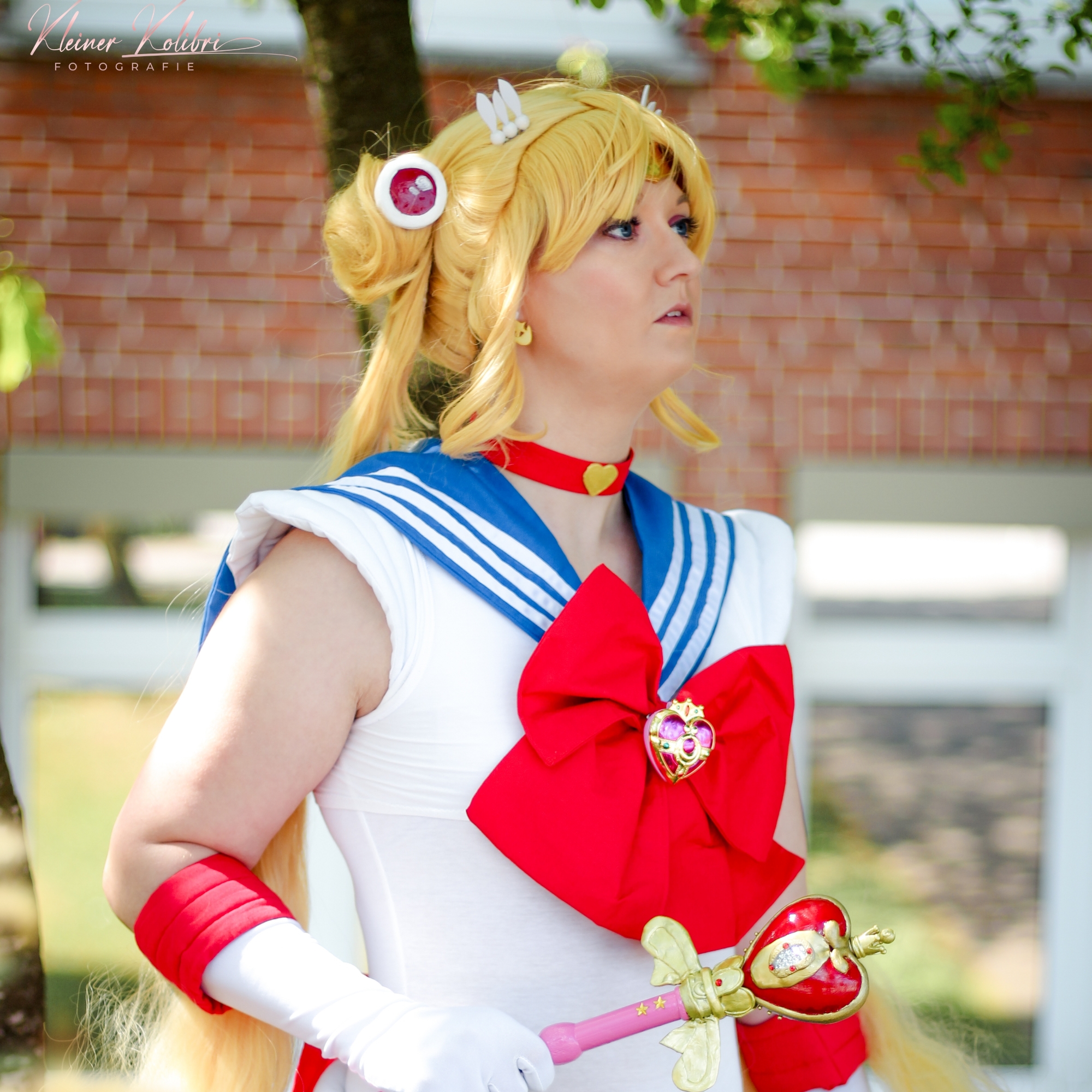 Sailor Moon