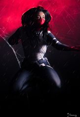 Silk preview 3