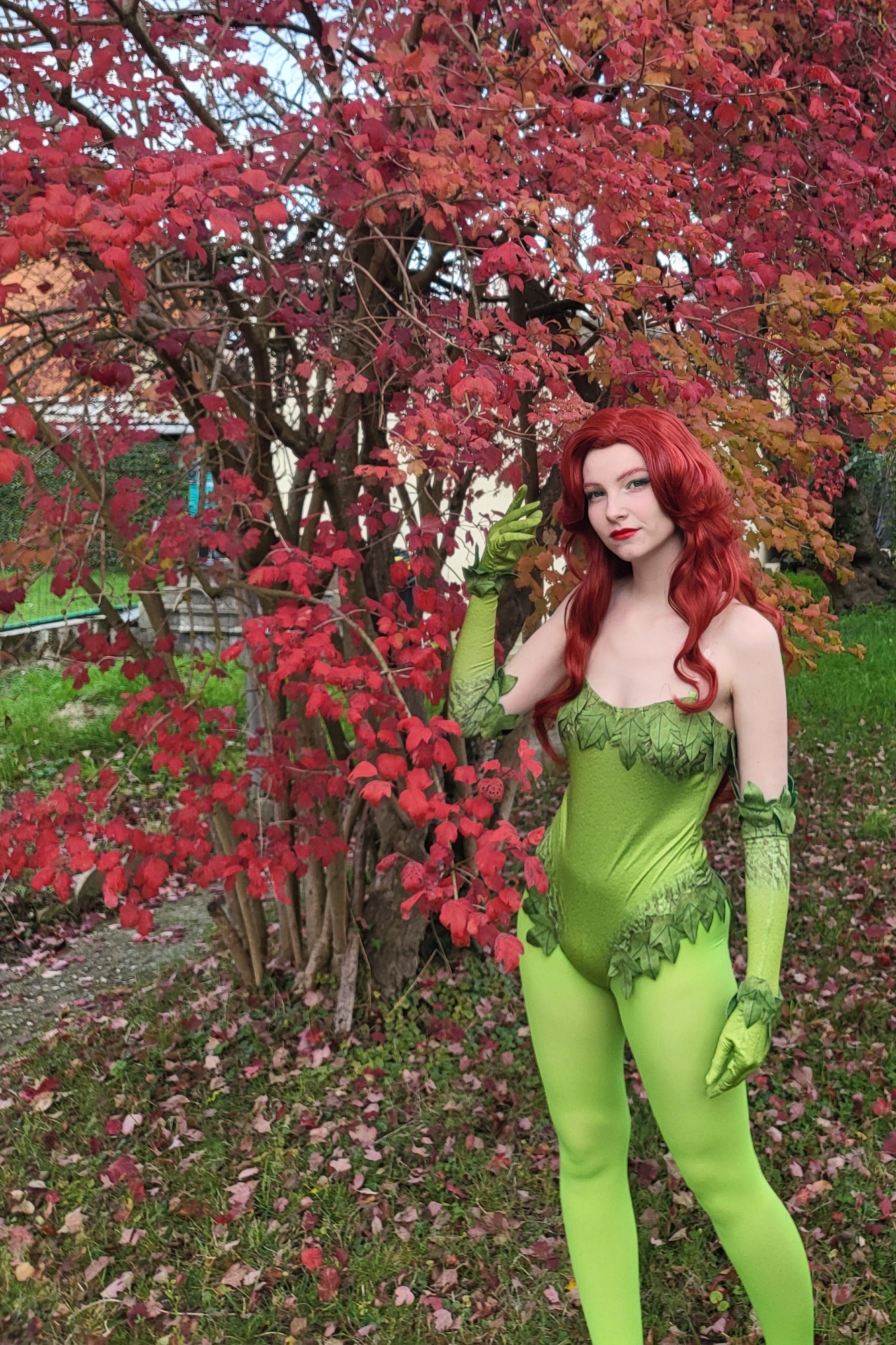 Halloween 2025 - Photo 3