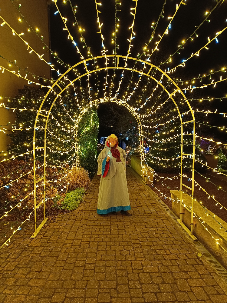 Bonne fée de Noël — photo 9