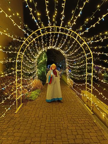 Bonne fée de Noël