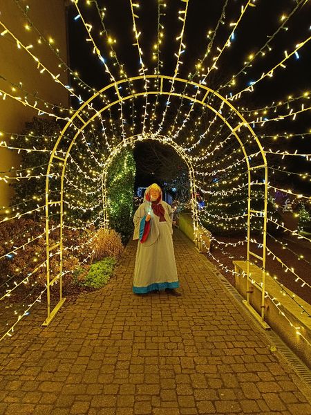 Darckfleur_ - Bonne fée de Noël 