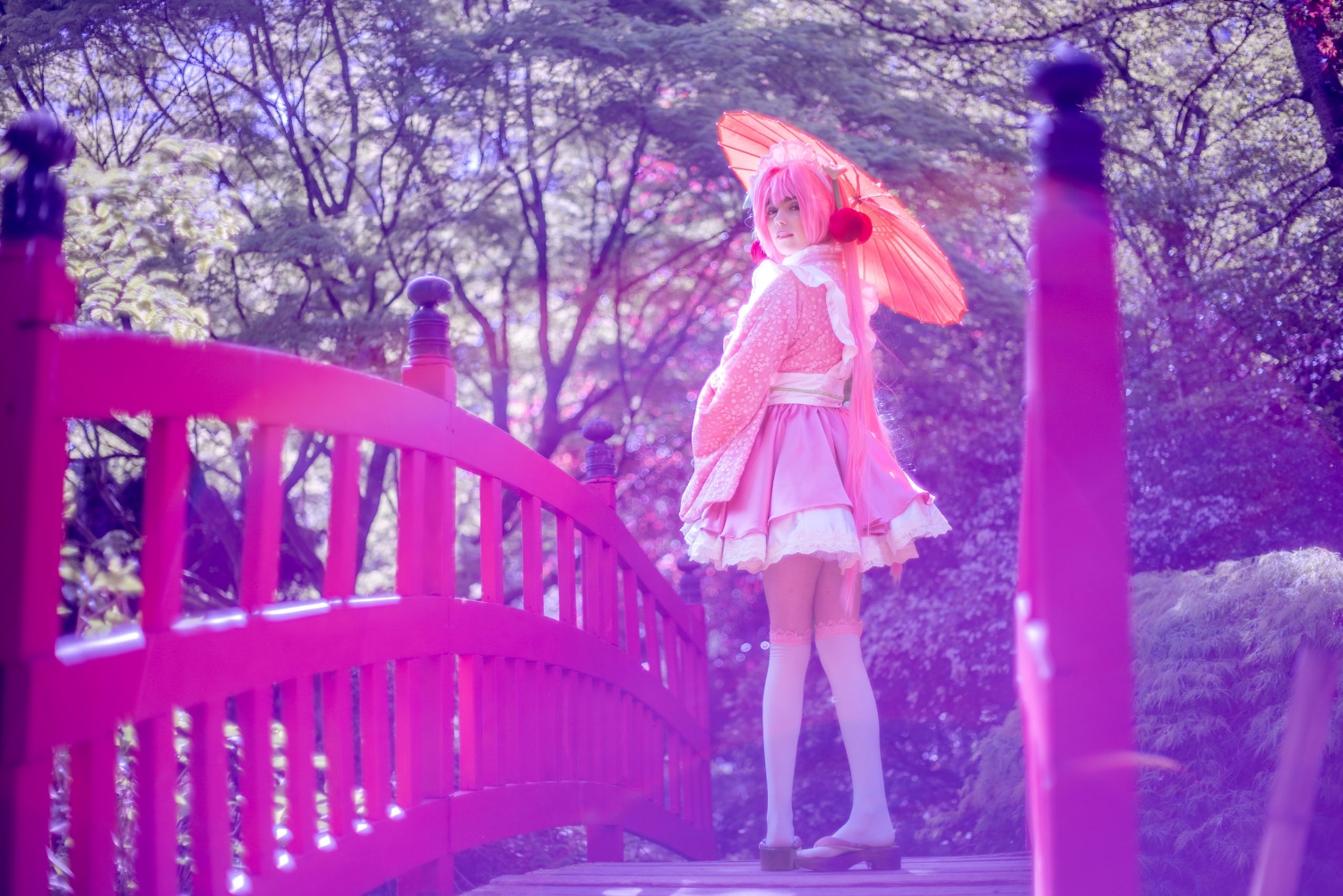 Sakura Miku -Hanami- — photo 13