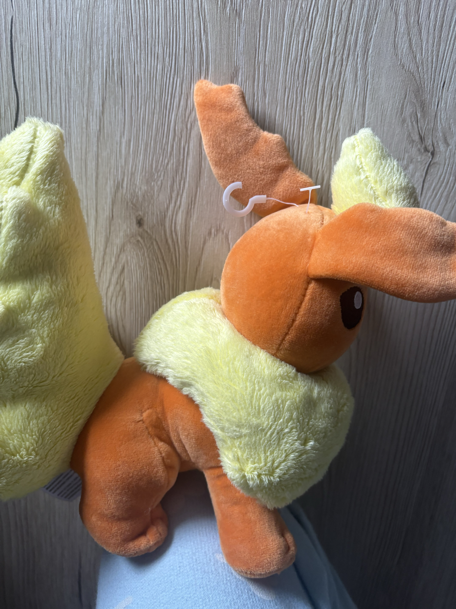 Evoli en Pyroli  - Photo 19