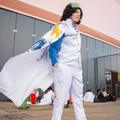 Aokiji - One Piece preview 2
