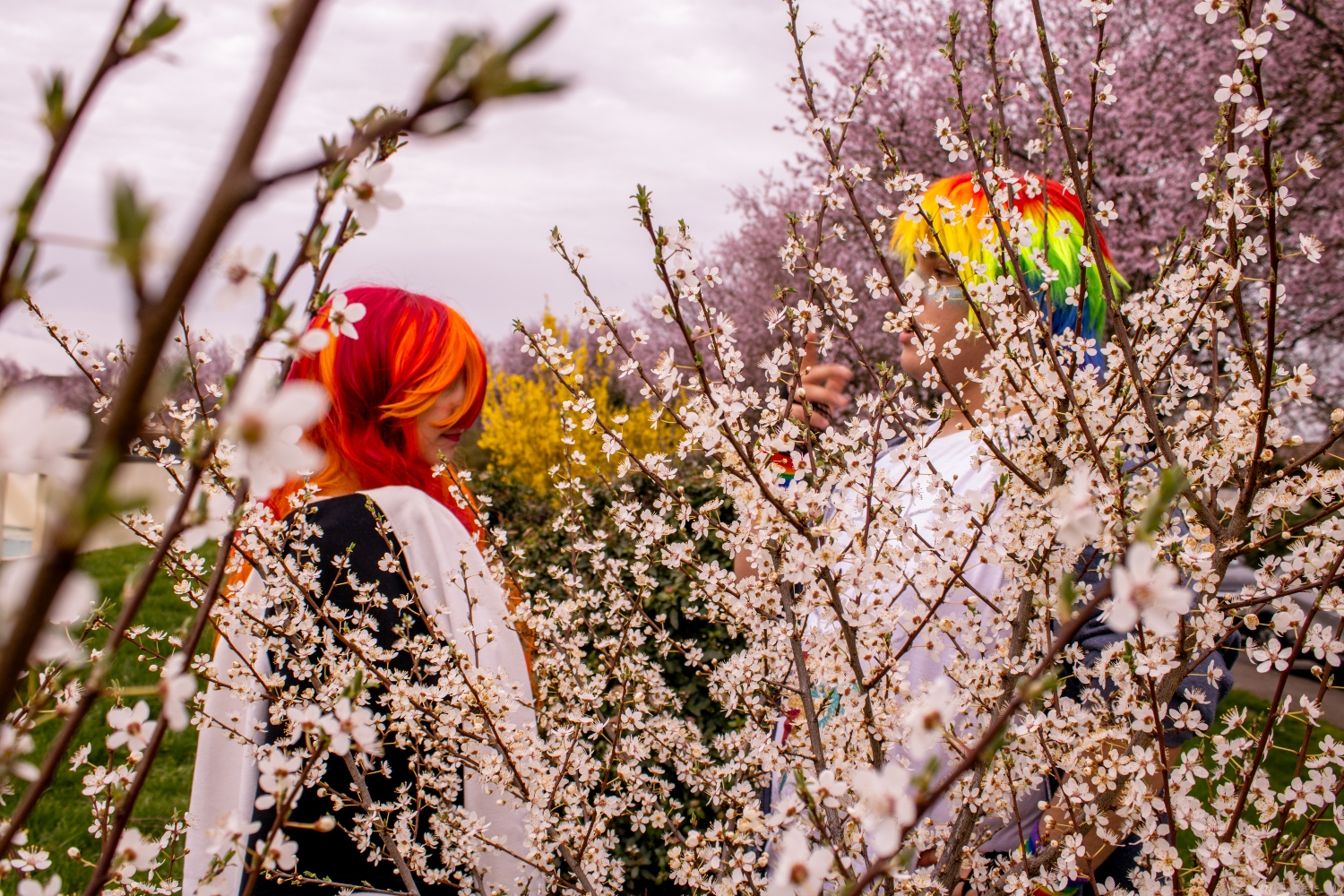 My Little Pony - Photo 3