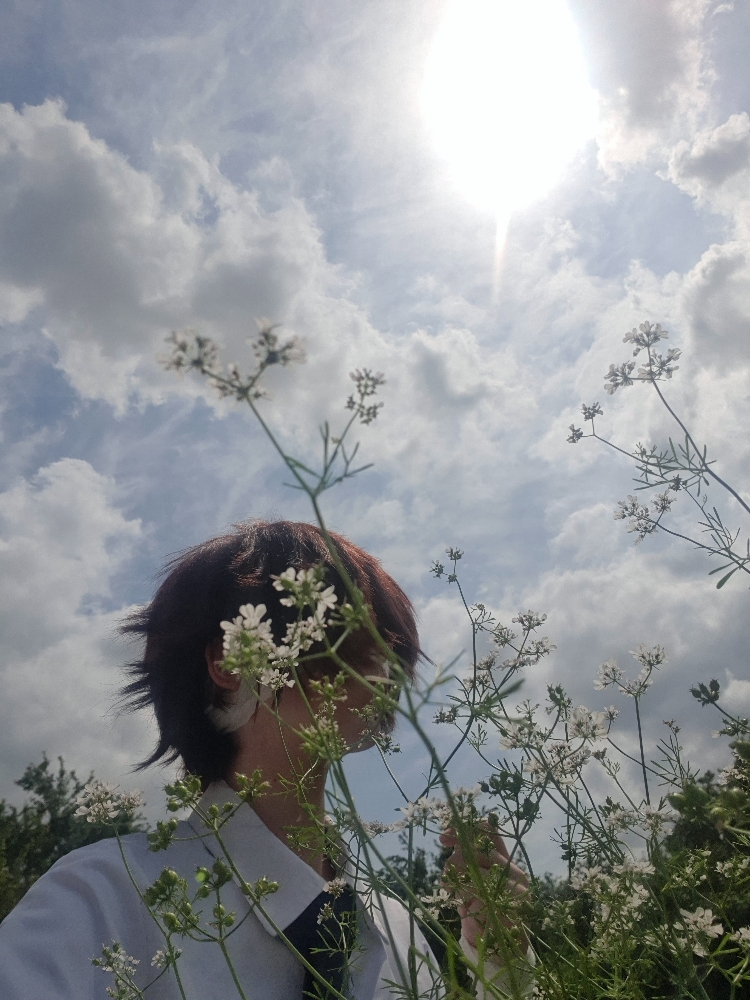 Dazai — photo 9