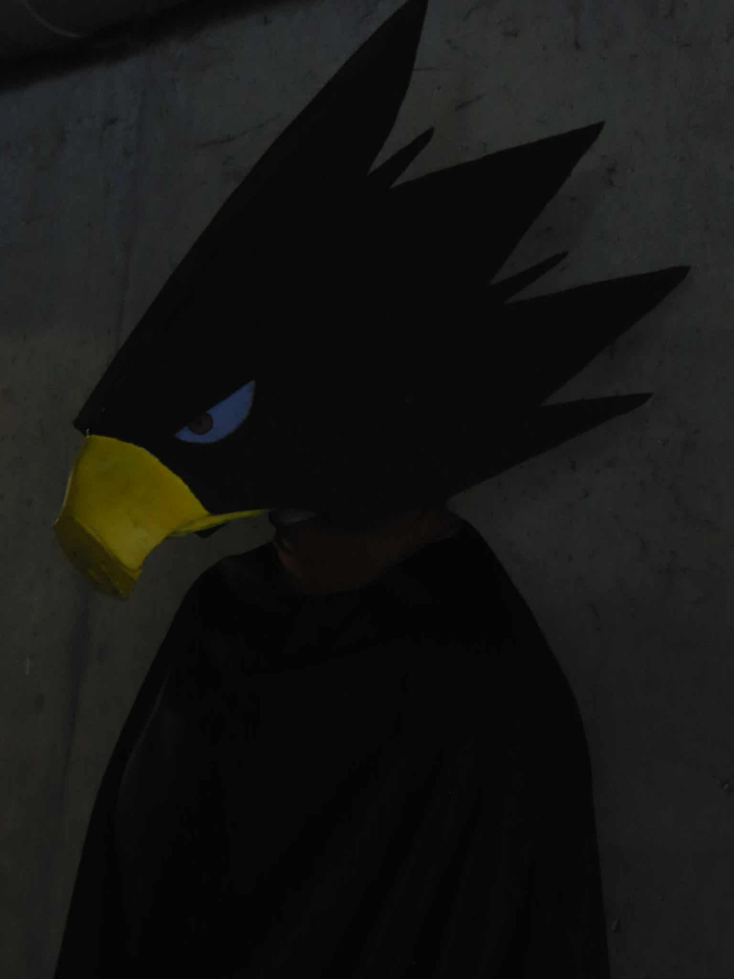 Tokoyami - JapanExpo — photo 10
