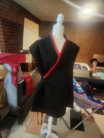 WWX Progress Photos