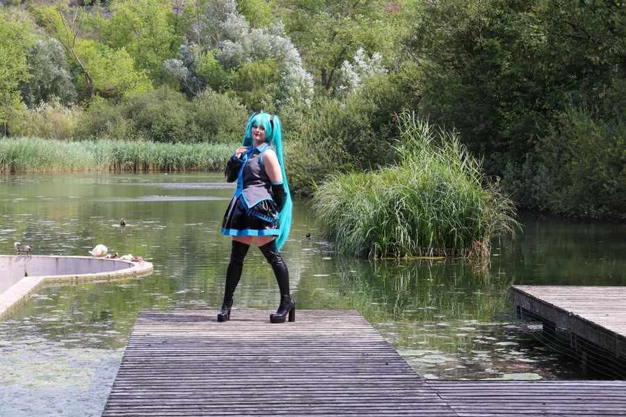 Mushu_bidou - Miku