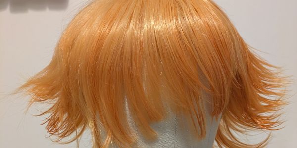 Paint wig — illustration 1