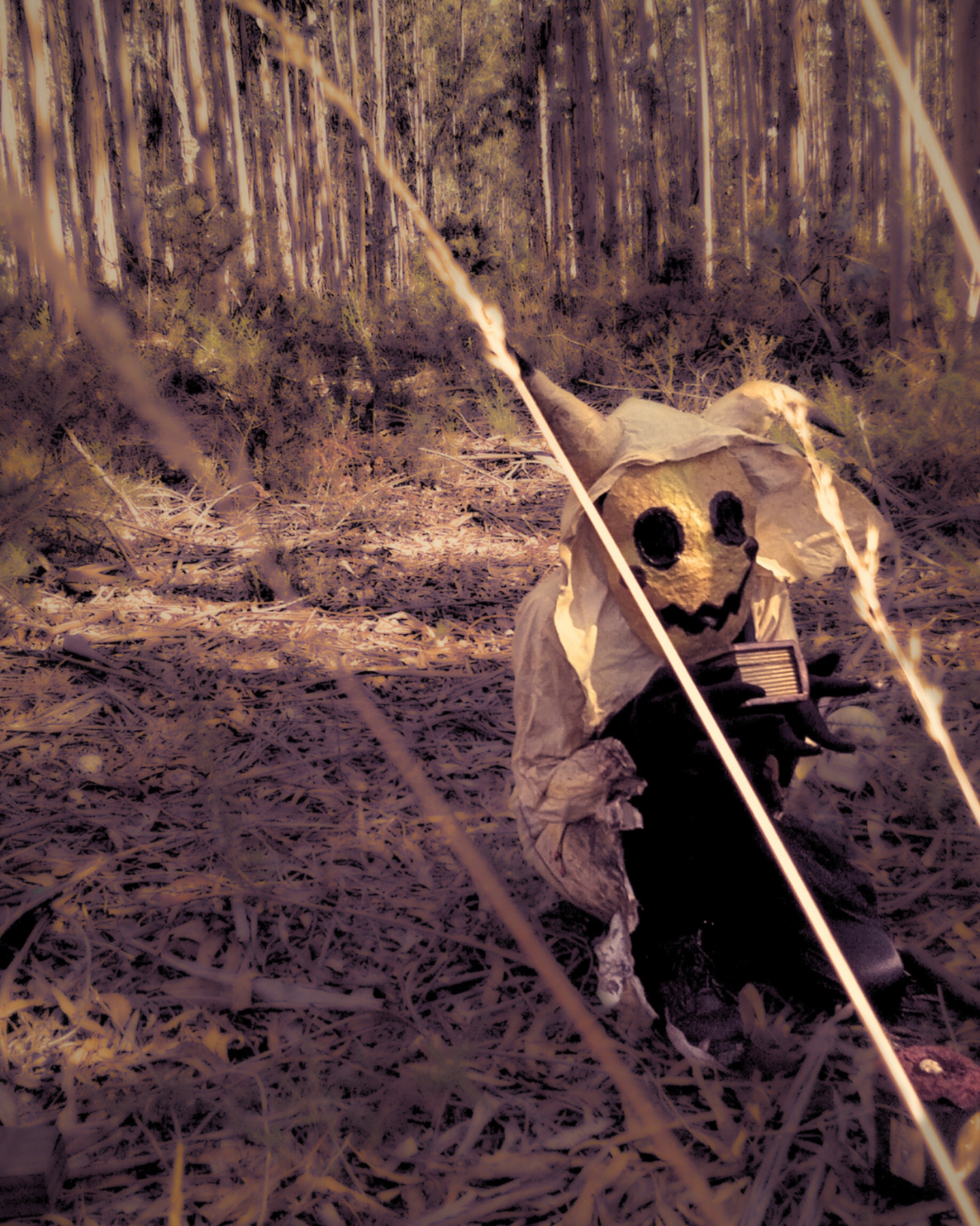 Mimikyu — photo 9