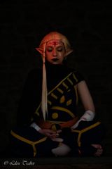 Shoot Skyward Sword preview 2
