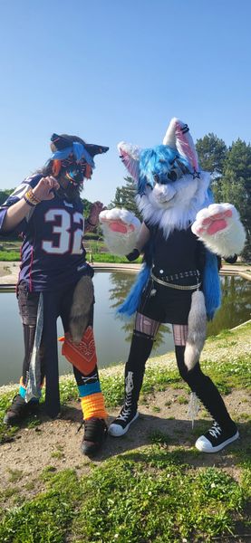 Aoi.cosplayz - Fursuit
