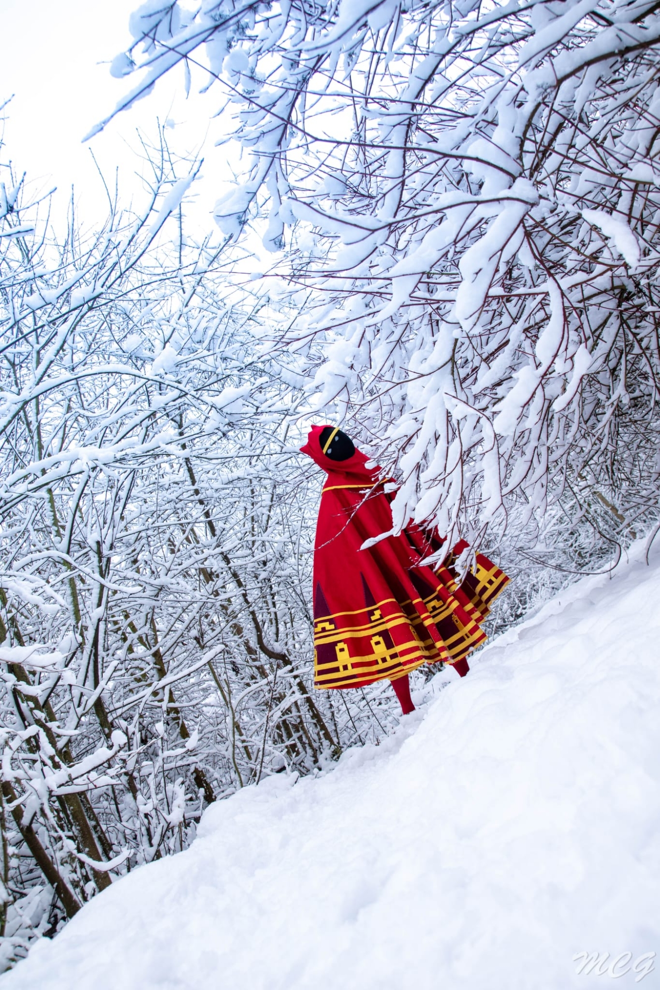 Snow Journey - Photo 3