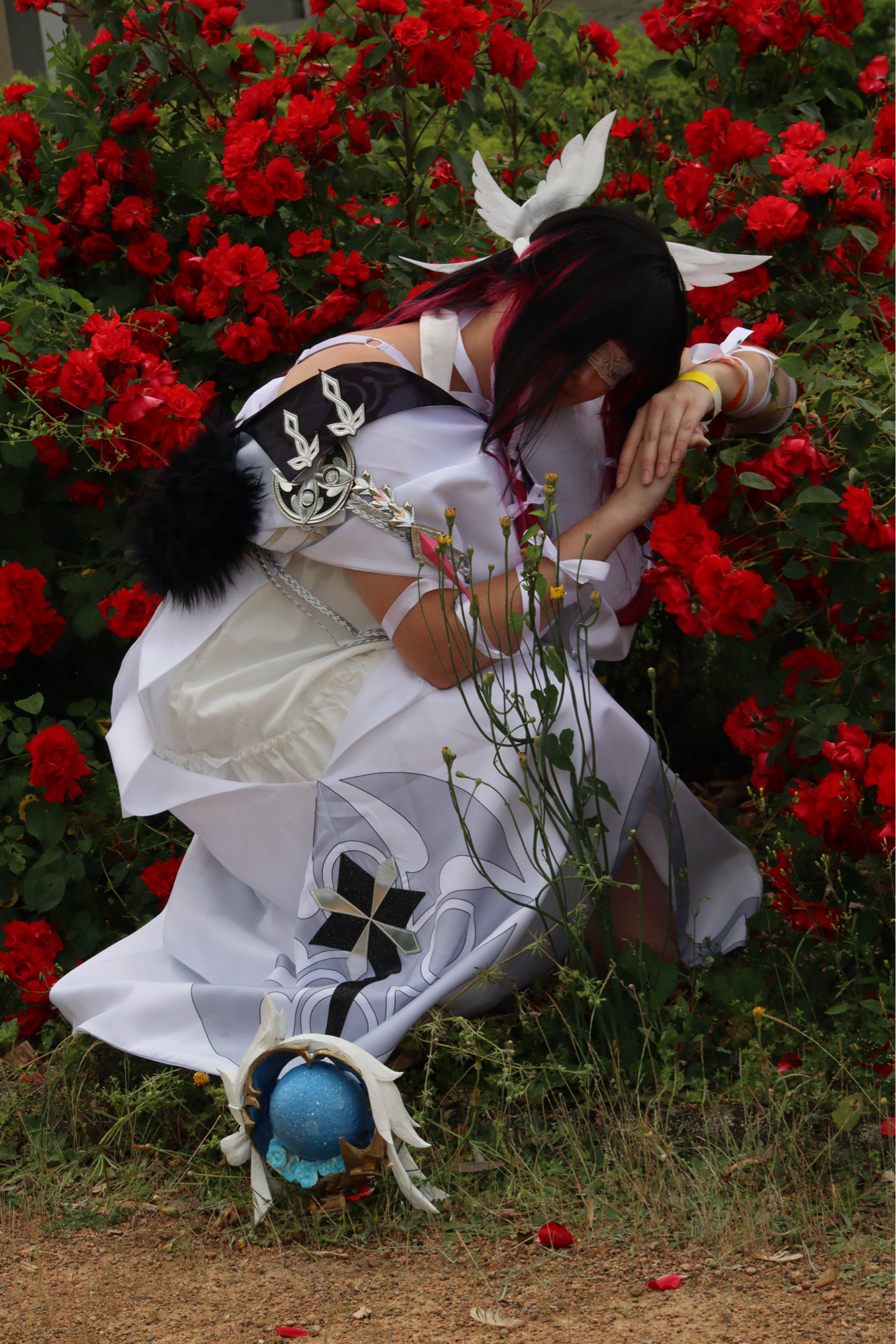 Columbina v1 — photo 11