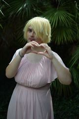 Sanji ellipse preview 2