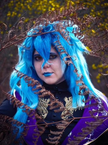 Idia shroud