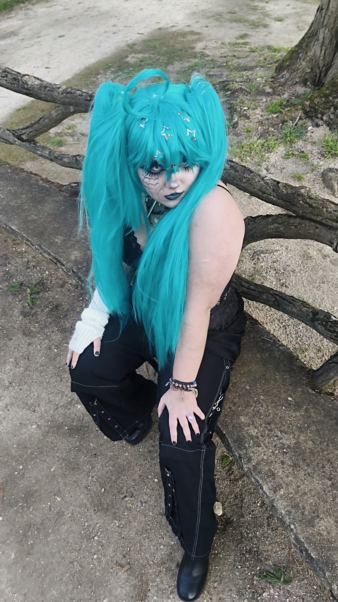 Miku — photo 8