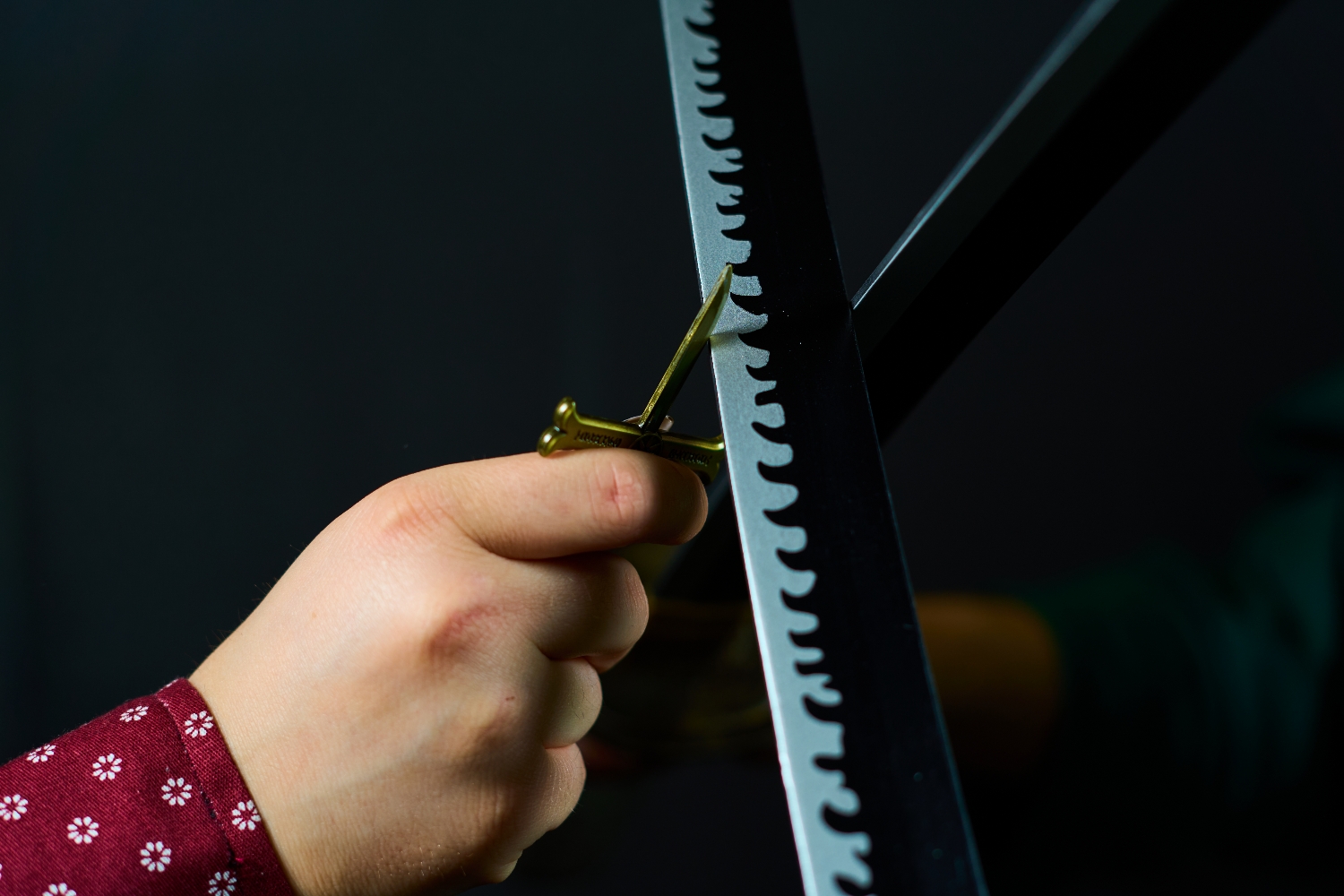 Metztorii 2024 - Photo 6