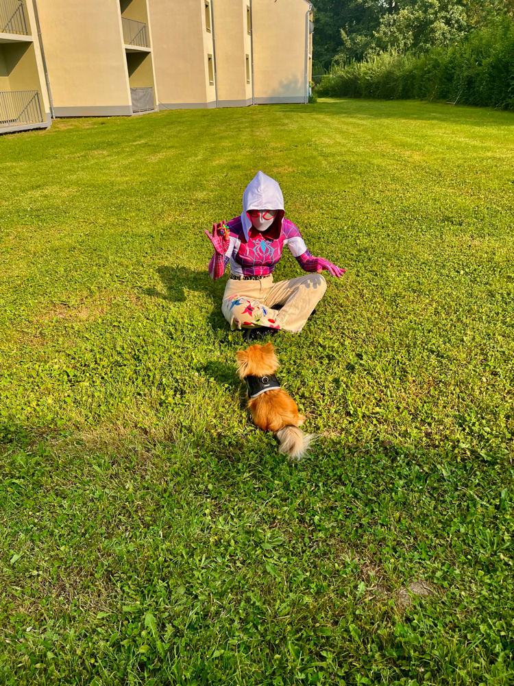 Spider butterfly  - Photo 3