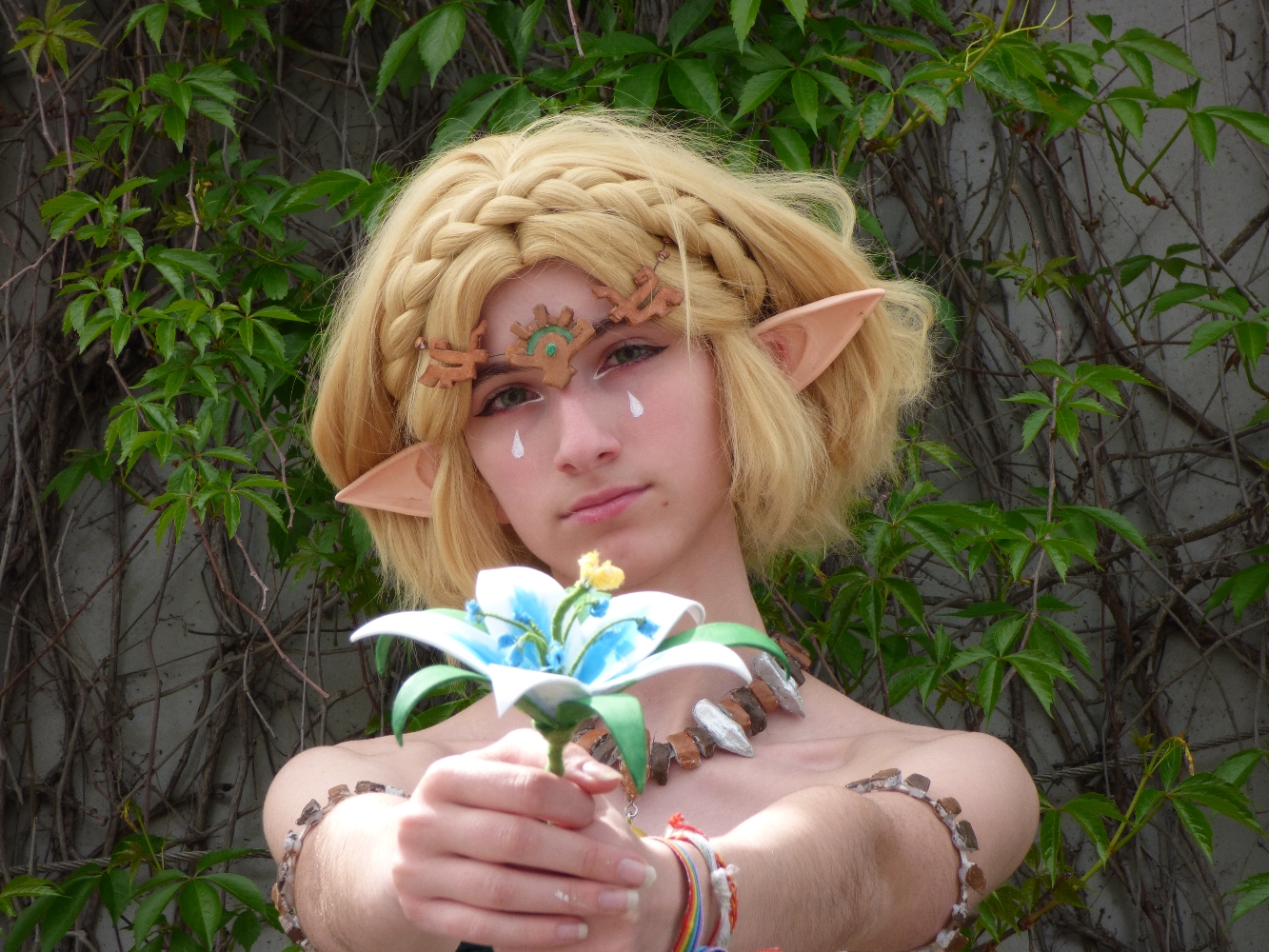 Zelda — photo 6