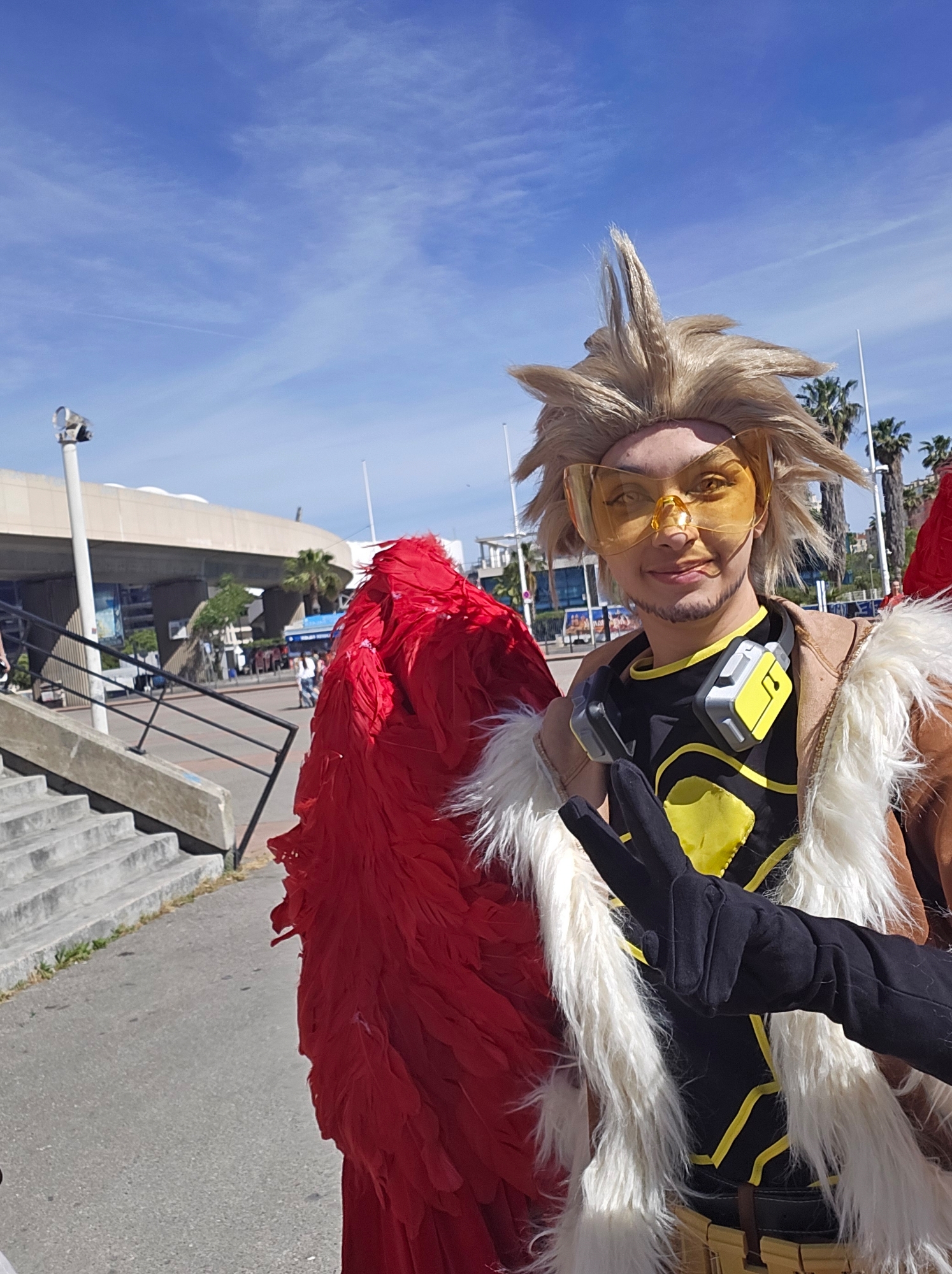 Hawks — photo 95