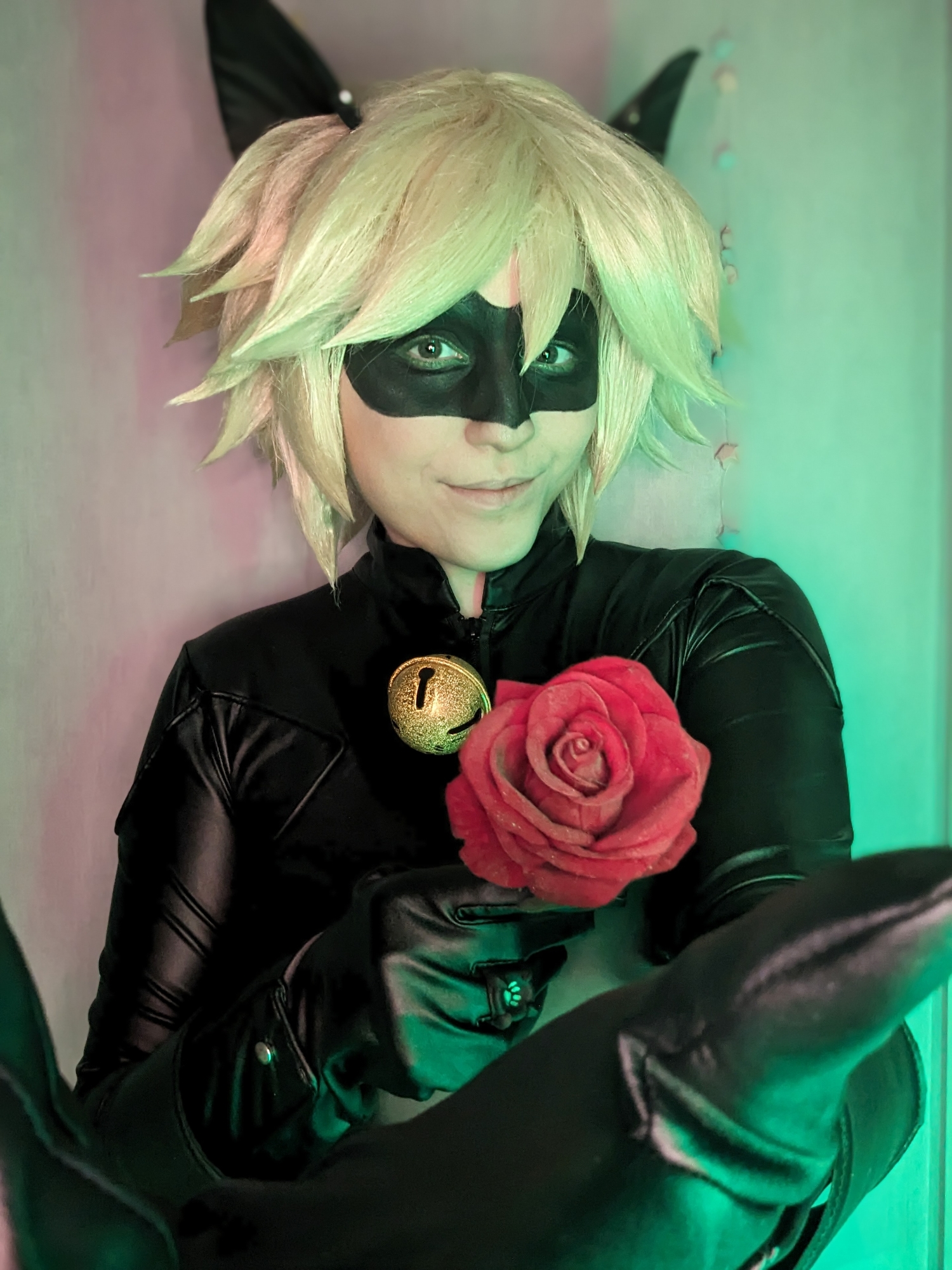 Chat noir — photo 5