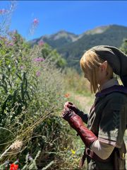 Link - Zelda TP preview 3