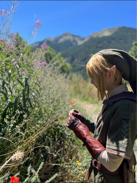 Haydio - Link - Zelda TP