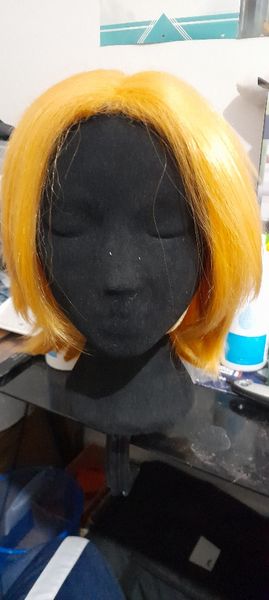 Willy_le_kiwi - Denki