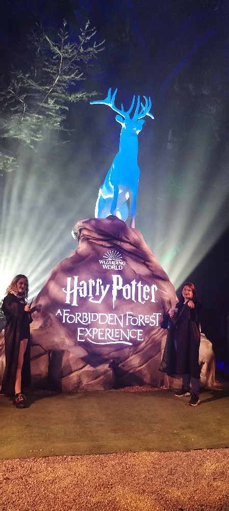 La forêt interdite - Photo 2