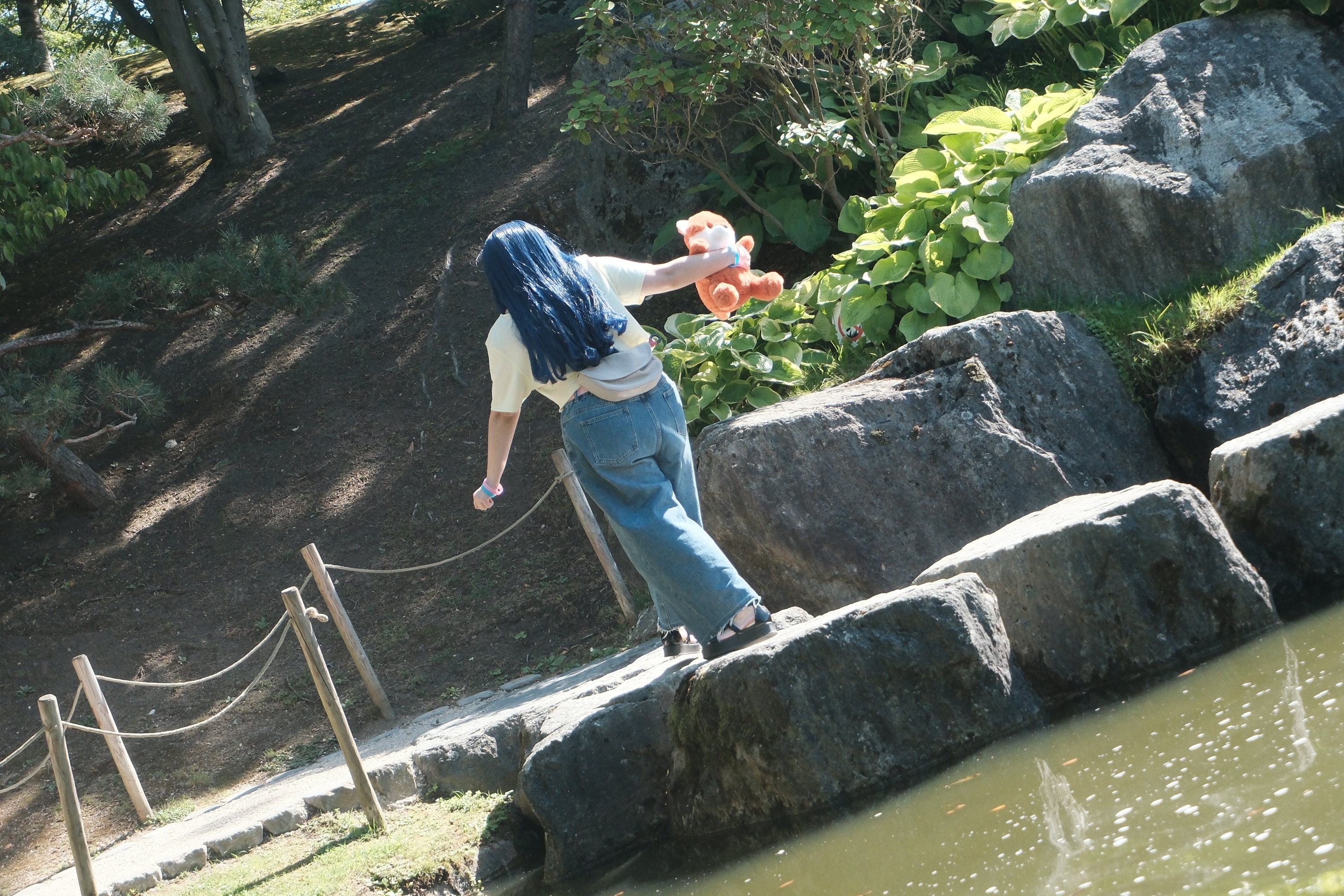 Himawari  - Photo 35